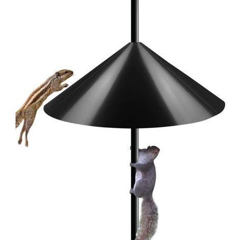 Déflecteur écureuil Clapet écureuil anti - grignotage oiseau m (1/5)