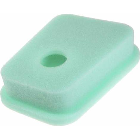 Filtre à air pour moteur Briggs & Stratton 27987