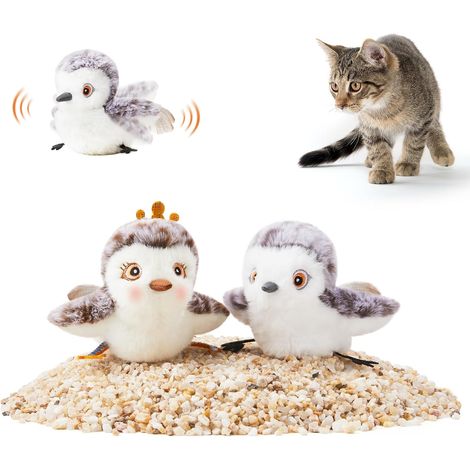 Jouets Chat Oiseaux Battants Rechargeables avec Herbe à Chat (1/5)