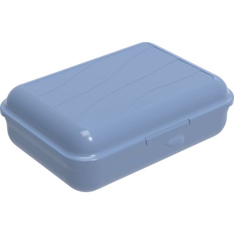 Rotho Brotdose Funbox 1,25 l, 19,5 x 14,5 x 6,5 cm, horizon blue Boxen, Körbchen & Kisten