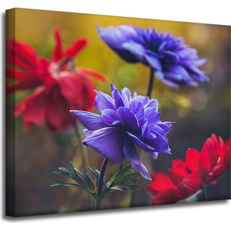 Leinwanddruck Botanik Wildblumen 50x40 cm