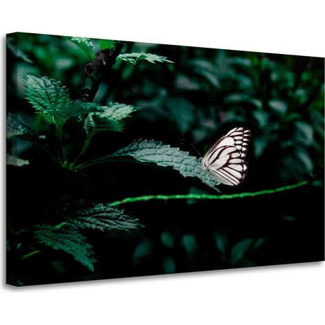 Leinwanddruck Natur Schmetterling auf einem Blatt 90x60 cm