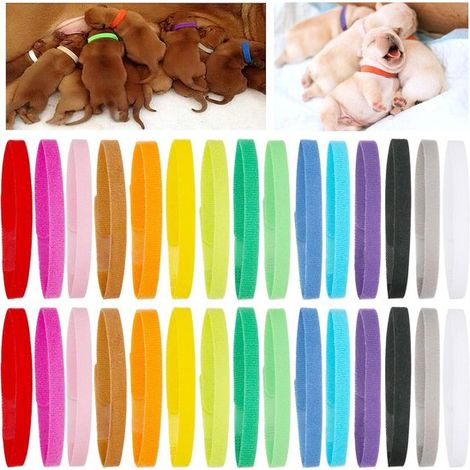 30 collares de identificación para cachorros, Suaves, ajustables y de doble cara, 15 colores, Talla M (1/5)