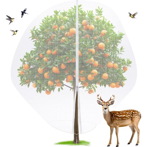 1 Filet de Protection pour Arbres Fruitiers 3x (1/4)