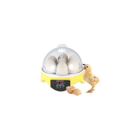 Incubateur automatique pour 7 œufs avec contrôle numérique de la température - pour élevage de volailles - Poulet Canard Caille (1/4)