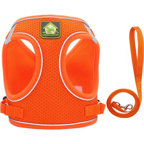 Dog Harness and Leash Set, No Pull Soft Mesh Pet Harness for Walking Escape Proof Small Cat Step-in Adjustable Vest with Reflective Strip Fit Puppy Kitten Rabbit