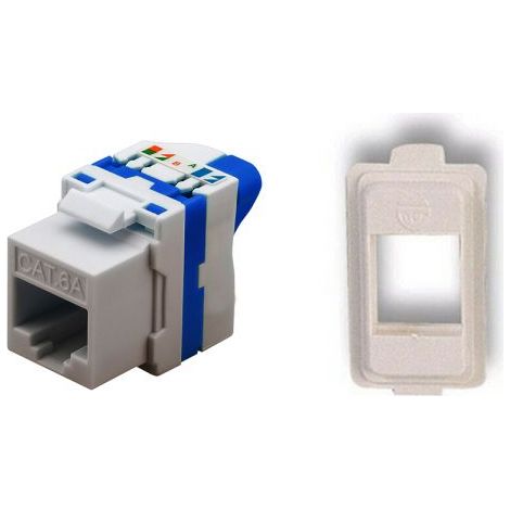 TechLy presa di rete RJ45 UTP CAT.6a tooless + Magic bianca