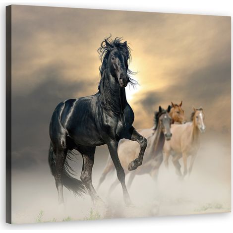 Cadre déco Troupeau de chevaux 50x50 (1/5)