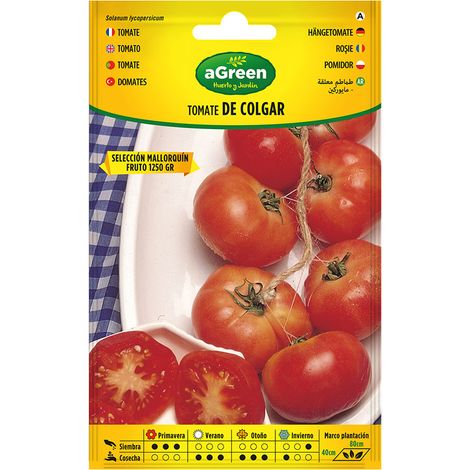 Sobre con semillas de tomate de colgar mallorquin 000714bolsh agreen