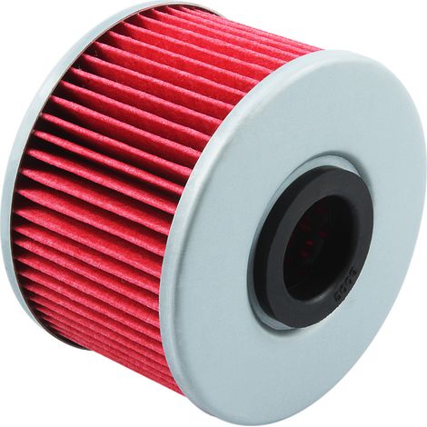Filtre à huile compatible avec Honda TRX420FPA Fourtrax RANCHER 2009-2014 (1/4)