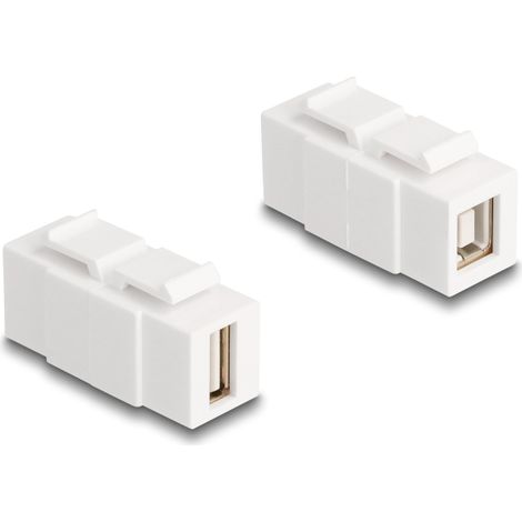 Delock El mÃ³dulo Keystone USB 2.0 Tipo-A hembra a USB 2.0 Tipo-B hembra blanco se puede instalar en ambos lados