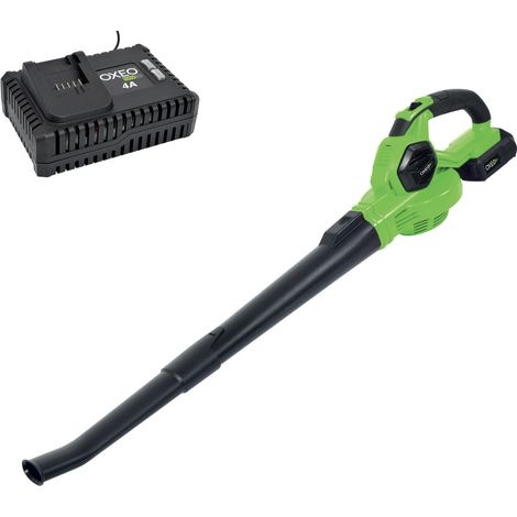 Souffleur batterie 18V Easy Full avec batterie et chargeur - Feuilles mortes - Vitesse Max 210 km/h - Léger ergonomique (1/5)