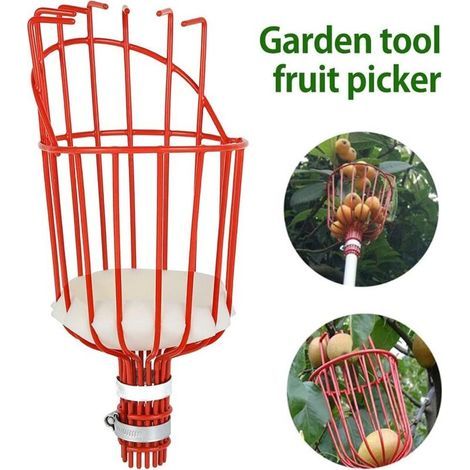Cueille Fruits métallique avec Griffe, Outil de cueillette de Fruits métal, Outils de Jardinage pour récolte de Pommes, Agrumes, Poires, Pêches (1/3)
