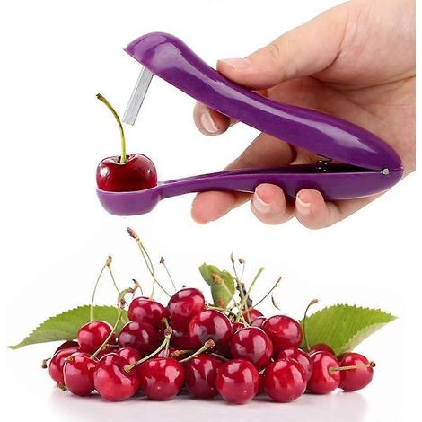 Dénoyauteur à cerises et olives, extracteur de noyaux et de pépins, poignée facile à presser, cadeau de Noël ( ) (1/5)
