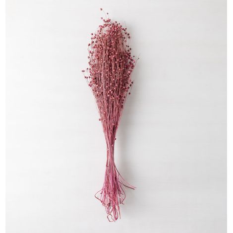 Bouquet de fleurs séchées décoratives Bairad SKLUM Prune Rose (1/5)