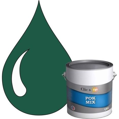 Peinture d'Accroche et Finition 2 en 1 - POK - RAL 6016 - Vert Turquoise - Satiné - 3L (1/4)