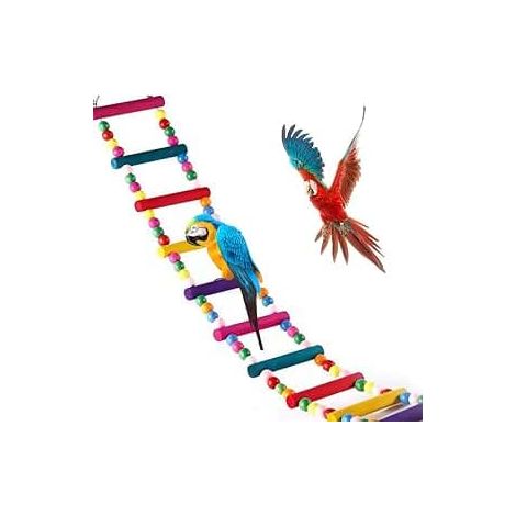 Jouets pour perroquet, échelle, balançoire, pont arc-en-ciel d'entraînement (1/5)