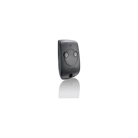 SOMFY 1841026 - Télécommande Keytis 2 canaux RTS - Pour commander 2 moteurs RTS de portail et porte de garage