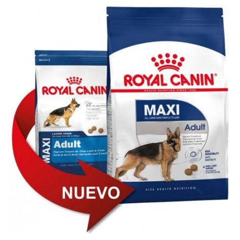 Pienso ROYAL CANIN MAXI ADULT perros de tamaño grande (Desde 15