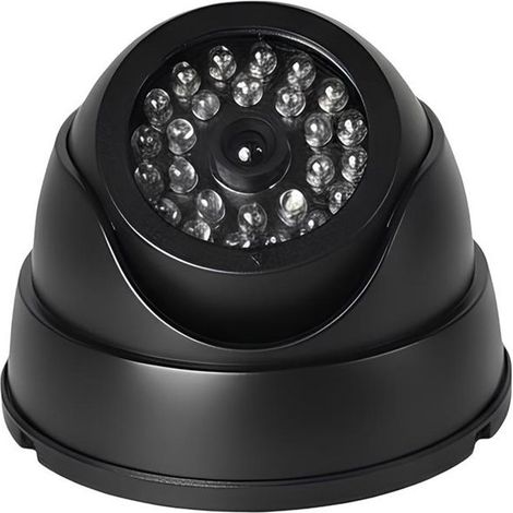 Caméra factice - AVIZAR - Type Dôme - Noir - LED apparentes - Sans fil (1/4)