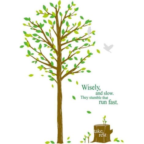Un lot de stickers muraux motif arbre vert oiseaux Sticker Mural pour Salon chambre bureau Décoration Murale (1/4)
