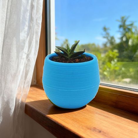 Mini maceta para suculentas – maceta de plástico para plántulas, ideal para jardín y balcón – azul – 7 cm (1/5)