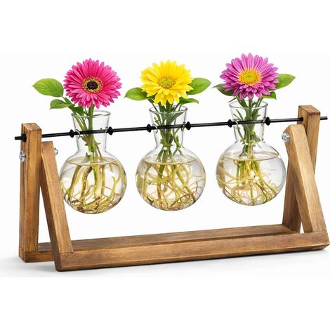 Station de propagation en verre pour plantes - 3 ampoules en verre avec support en bois rétro - Vase à fleurs d'intérieur pour hydroponie - Décoration de table pour la maison de serre - Cadeau (1/5)