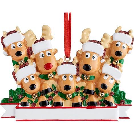Renne personnalisé pendentif sapin Noël décoration suspendue ornement de Noël (1/5)
