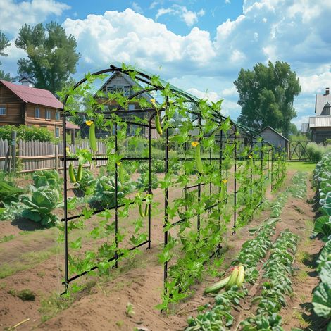 UNHO Traliccio Arco per Piante Rampicanti Alto 222cm da Giardino Cetrioli Orto a Tunnel (1/5)