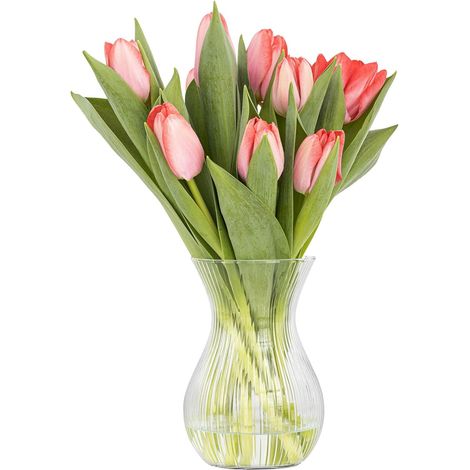 Vase Fleur Décoration Chambre Lyra Luminous Tulipe Verre Transparent Strie Longitudinale, ⌀ 11 cm, 1229 ML (1/5)
