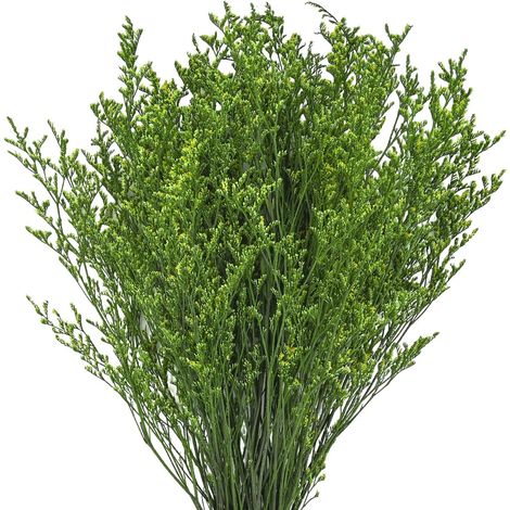 Flores secas, ramo de flores de statice secas, arreglos florales para decorar tu dormitorio y sala de estar (100 g)