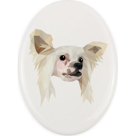 Cane crestato cinese - una piastrella geometrica con foto e iscrizione di Art-Dog (1/4)