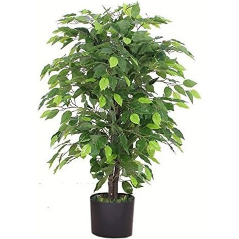 Leaf 7088 Design UK, Albero/pianta di ficus artificiale da 90 cm, verde, grande, folto e rigoglioso, in vaso di plastica nero (1/3)
