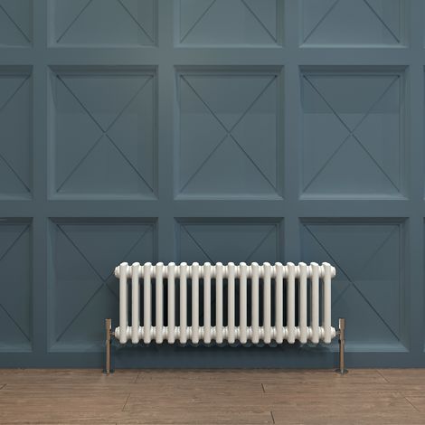 Biubiubath Traditional Cast Iron Radiator 300x830mm 2 Column White (1/5)