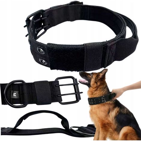 Hundehalsband mit Riemen, breit, robust, verstellbar, XL 54-64