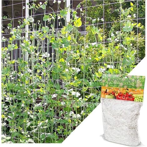 Filet de support pour plantes grimpantes - Polyéthylène robuste 1,67x5m - Maille 15x15cm idéal tomates concombres raisins installation facile (1/5)