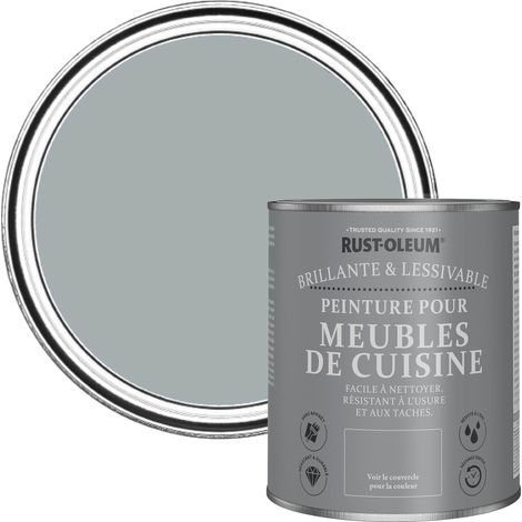Peinture Grise pour Meubles de Cuisine, Finition Brillante -Gris Minéral 750ml (1/5)