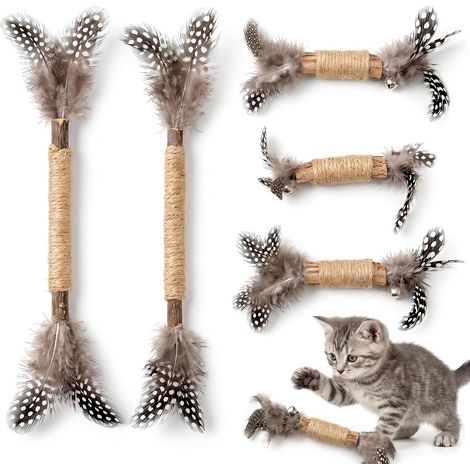 6 Jouets Chat avec Plumes Matatabi Jouet Chaton (1/5)