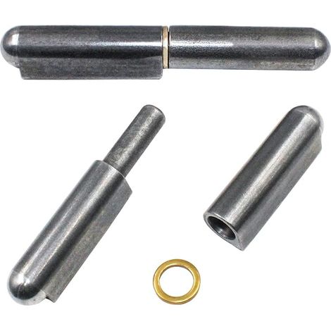 Gond Porte Charnière Lourde en Acier Paumelle a Souder avec Bague pour Porte Métallique, Fenêtre, Armoire, Portail, Meuble en Métal 120mm Capacité Charge 180 kg (1/3)