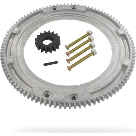 Greenstar 25962 PIGNON - Avviatore (1/5)