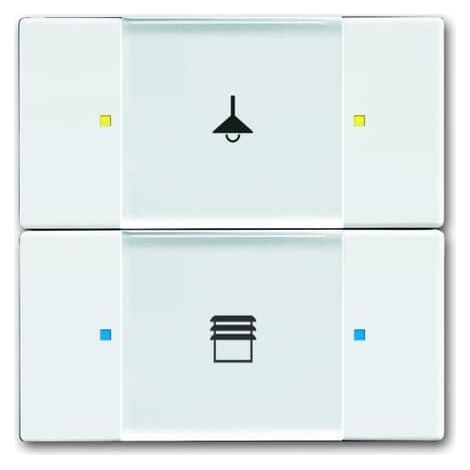 Poussoir 2 TouchesMultifonctions Blanc 2CKA006116A0209 ABB 587250