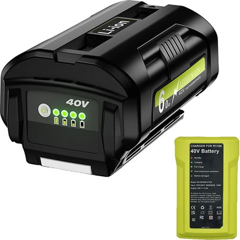 Batterie Lithium, 40V 6AH, Compatible avec Ryobi (1/2)