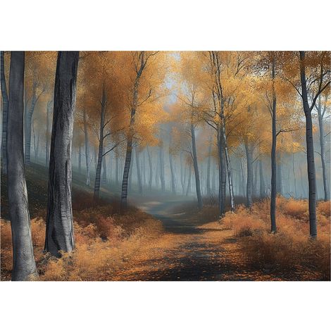 Papier peint panoramique forêt arbres 3D nature intissé 150x105 cm mural salon chambre petit format (1/5)