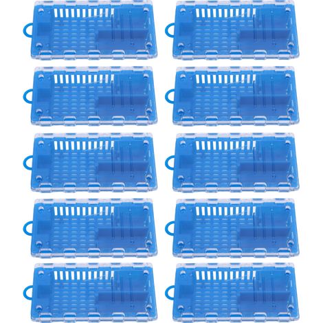 Cage pour transport de reines en plastique – 10 cages de transport pour apiculteurs (bleu)