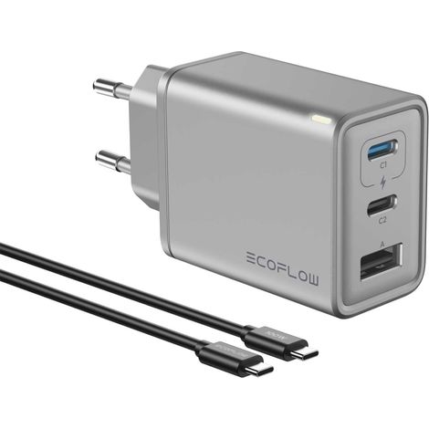 EcoFlow RAPID 65 W Universel Argent Secteur Charge rapide Intérieure (1/2)