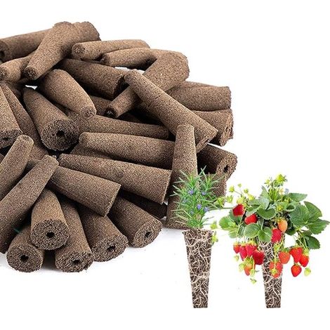 Spugne di ricambio per piante, 100 pezzi, tappi di crescita per piante per idroponica, 2 x 6,2 x 1 cm, spugne di ricambio per Aerogarden per idroponica (1/5)