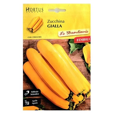 Zucchina Gialla straordinarie
