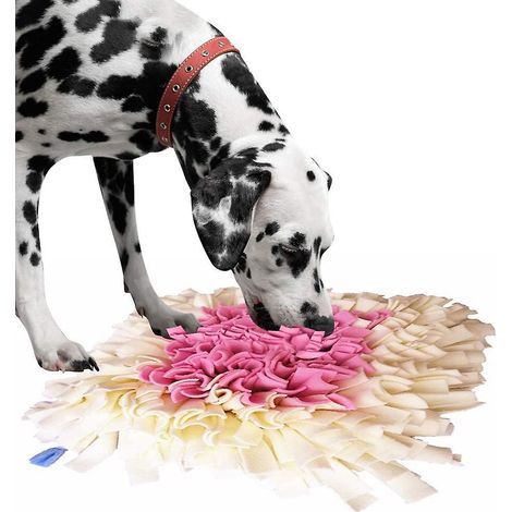 Duftende Spielmatte für Hunde, Trainingsdecke, Futtermatte für Hunde und Katzen (1/4)