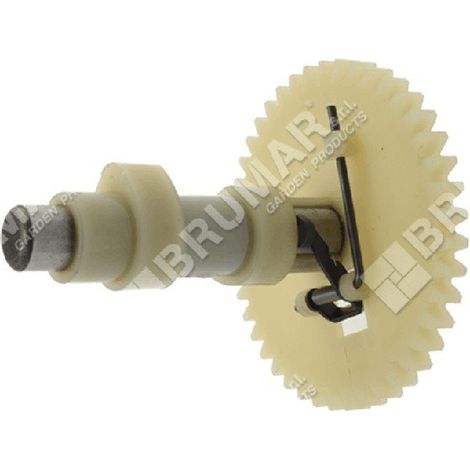 Kurbelwelle für DAYE-Motoren - DAYEE Y1510000000 - 023479