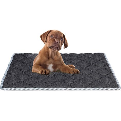 EVERGREENWEB - Materassino per Cane Imbottitura in MEMORY FOAM 45x65 cm Rivestimento Grigio Morbido LAVABILE Ipoallergenico, Letto Multiuso per Animali Domestici di Taglia Piccola, Cuccia Tappeto, DOG (1/5)